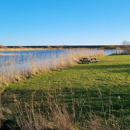 بيت للعطل 6 Person In Blavand-by Traum *